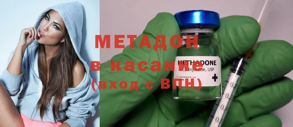сатива Беломорск