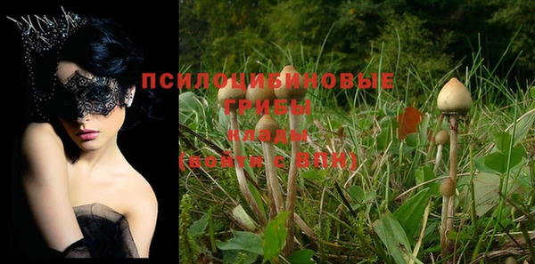 прущая мука Белоозёрский
