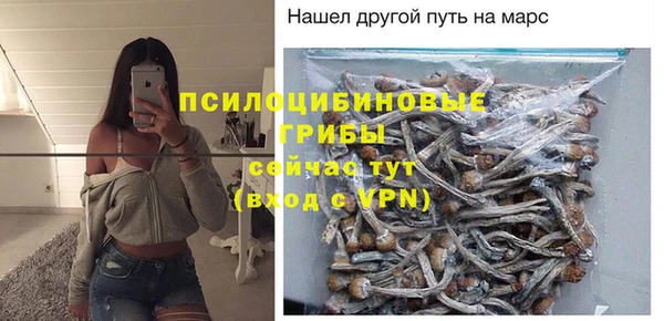 jwh Белокуриха