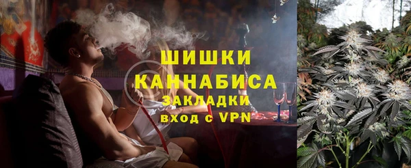 сатива Беломорск