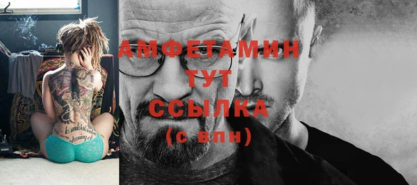 сатива Беломорск