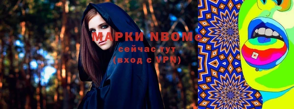 сатива Беломорск