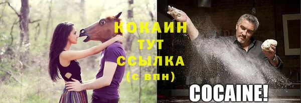 jwh Белокуриха