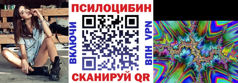 Псилоцибиновые грибы Psilocybine cubensis  Горячий Ключ 